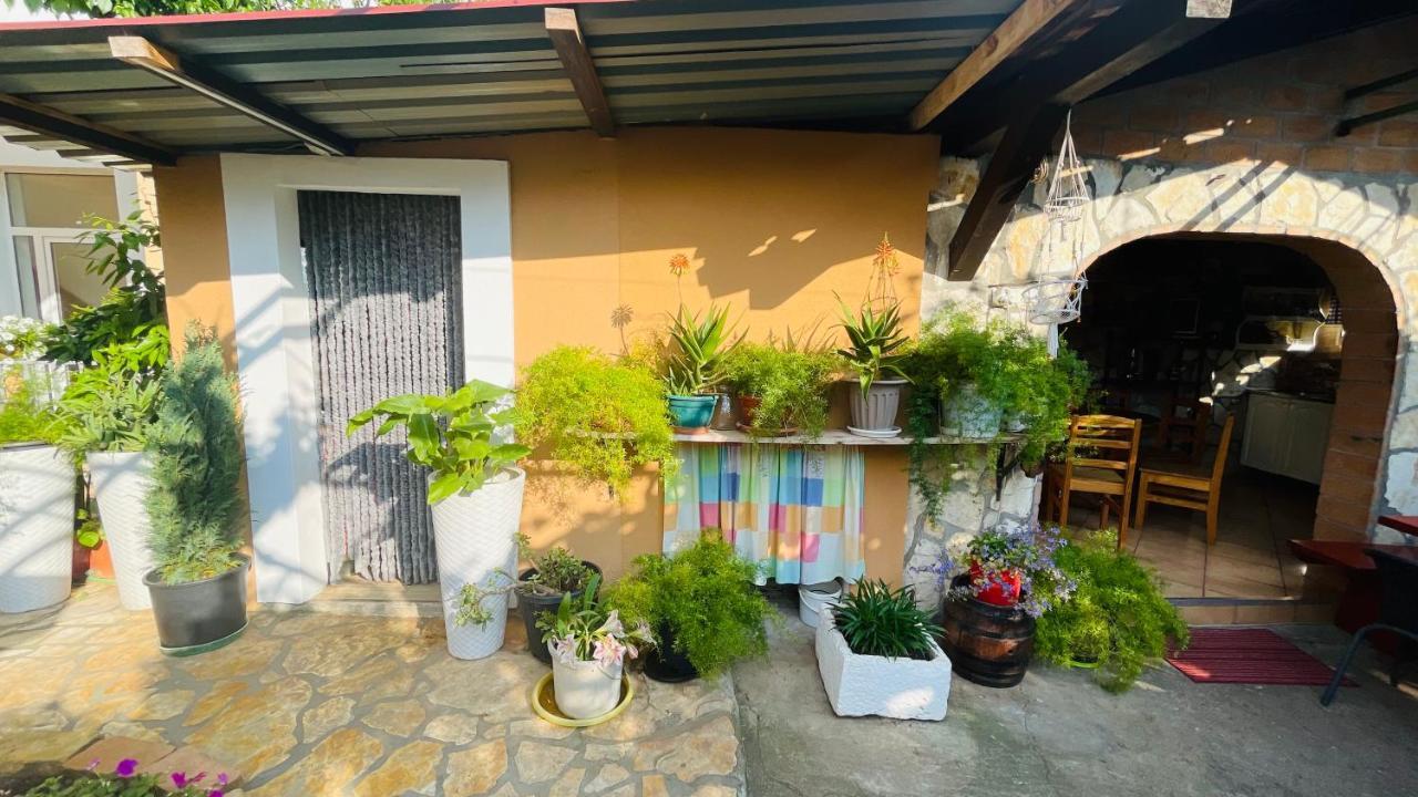 Colorful And Happy Apartment Sukosan - With Parking Exterior foto
